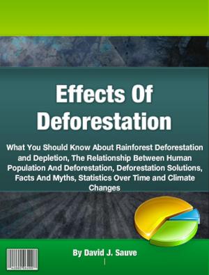 Cover of the book Effects Of Deforestation by Jerry B. Dostie
