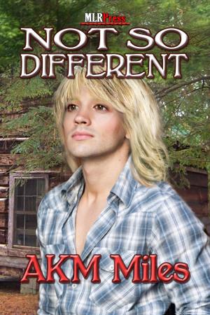 Cover of the book Not So Different by Stephani Hecht