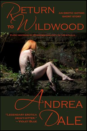 Book cover of Return to Wildwood
