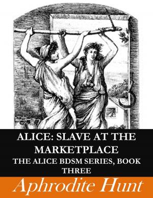 Book cover of Alice: Slave at the Marketplace