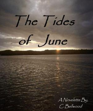 Cover of the book The Tides of June by Kimberly Kincaid