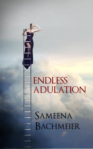 Cover of the book Endless Adulation by C R Witts