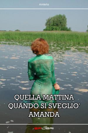 Cover of the book QUELLA MATTINA QUANDO SI SVEGLIO' AMANDA by Anna Paola Cracco