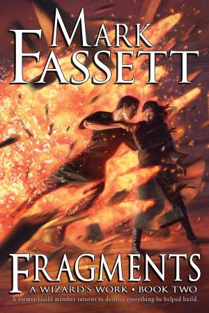 Cover of Fragments - A Wizard's Work Book Two