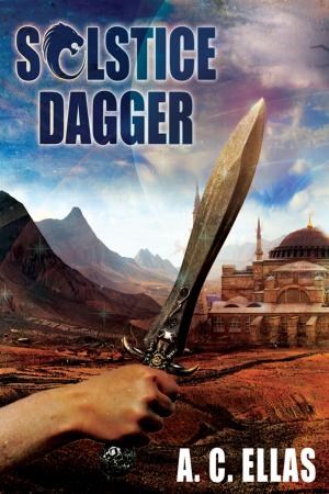 Cover of the book Solstice Dagger by K. B. Forrest