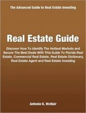 Cover of the book Real Estate Guide by Omar Loyd