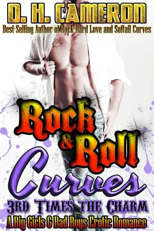 Book cover of Rock & Roll Curves - 3rd Times the Charm
