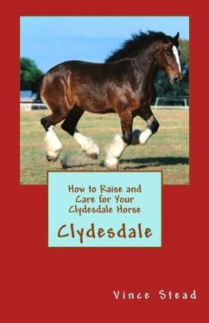Cover of the book How to Raise and Care for Your Clydesdale Horse by Vince Stead
