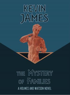 Book cover of The Mystery of Families