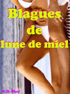 Book cover of Blagues de lune de miel