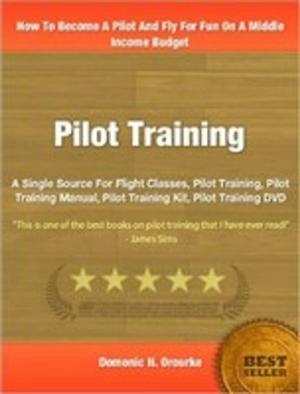 Cover of the book Pilot Training by Lelia Fink