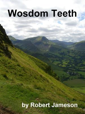 Book cover of Wosdom Teeth
