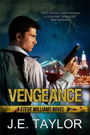 Cover of the book Vengeance by Karen Suzanne