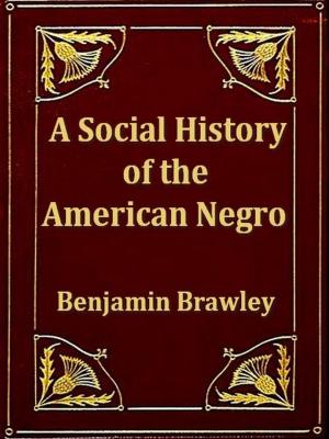 Cover of the book A Social History of the American Negro by John Morley