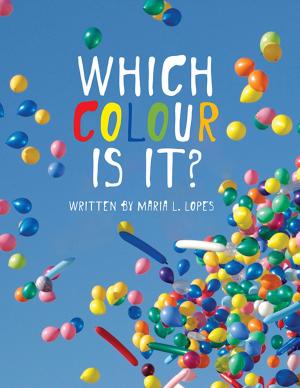 Book cover of Which Colour is it?