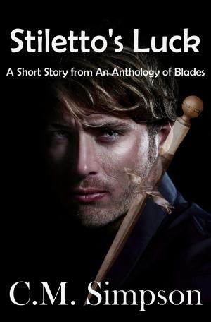 Cover of the book Stiletto's Luck by Steven Stonebraker