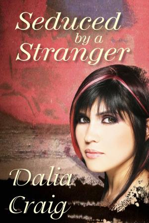 Cover of the book Seduced by a Stranger by Brita Plaisir