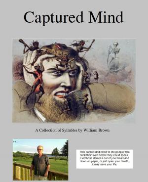 Cover of the book Captured Mind by Steven James Golebiowski