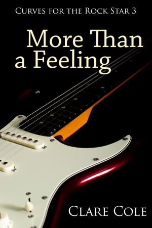 Cover of the book More Than a Feeling by Yoli Kim