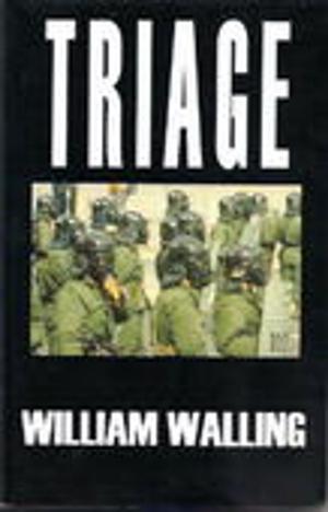 Cover of the book Triage by Alex C. Hughes