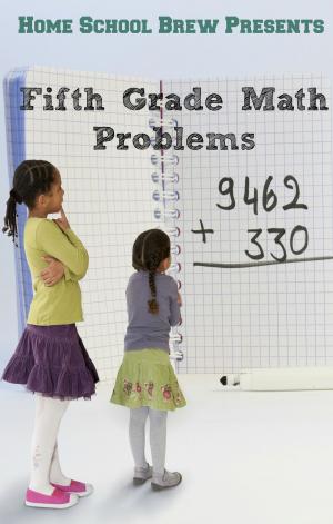 Book cover of Fifth Grade Math Problems