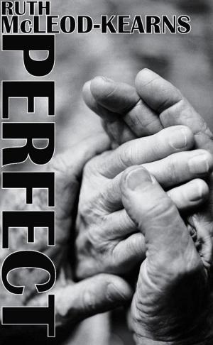 Cover of the book Perfect by Andre Lopez-Turner