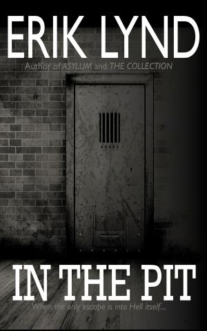 Cover of the book In the Pit by Stephanie Bennett