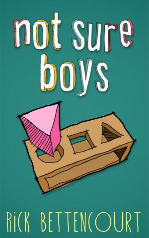 Book cover of Not Sure Boys