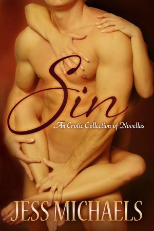 Cover of the book Sin by Paul Adam