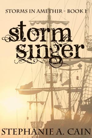 Cover of the book Stormsinger by Amy Best