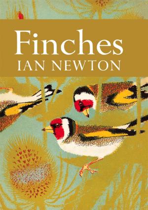bigCover of the book Finches (Collins New Naturalist Library, Book 55) by 
