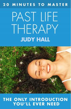 Book cover of 20 MINUTES TO MASTER ... PAST LIFE THERAPY
