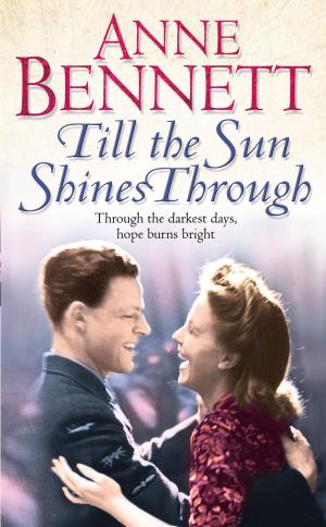Cover of the book Till the Sun Shines Through by Sarah Ayoub