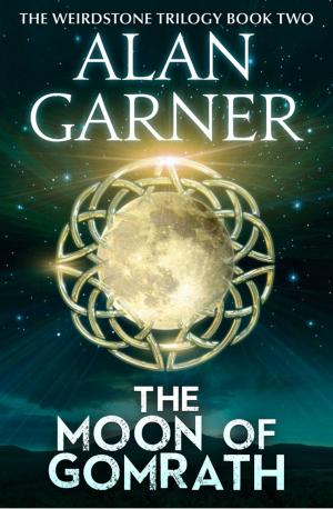 Cover of the book The Moon of Gomrath by Elizabeth Day