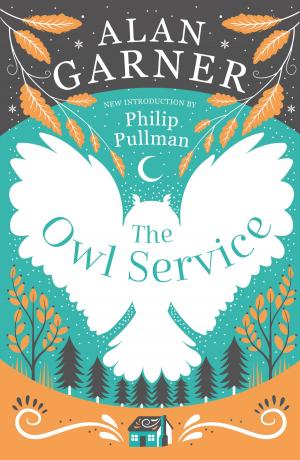 Cover of the book The Owl Service by Margaret Ryan