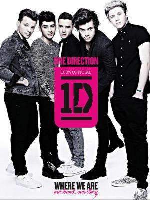 Cover of the book One Direction: Where We Are by David L Seidman