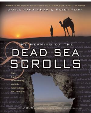 Book cover of The Meaning of the Dead Sea Scrolls