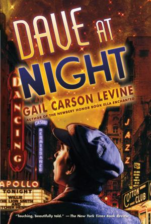 bigCover of the book Dave at Night by 