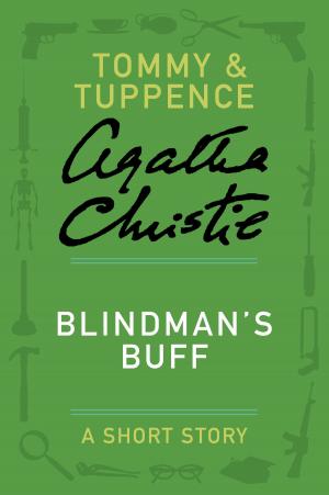 Cover of the book Blindman's Buff by Stephen Booth