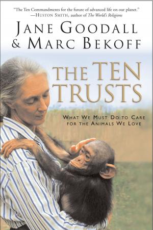 Cover of the book The Ten Trusts by Richard Elliott Friedman