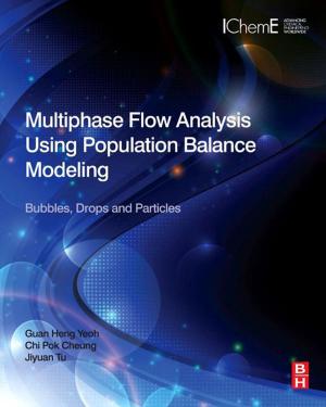 Cover of the book Multiphase Flow Analysis Using Population Balance Modeling by Colin McGregor, Jonathan Nimmo, Wilson Stothers