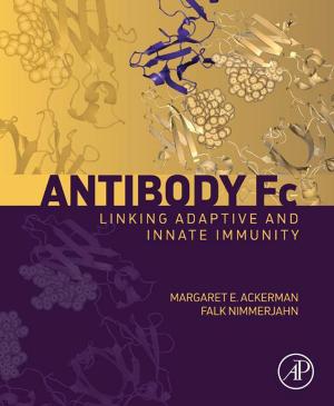Cover of the book Antibody Fc by Harold G. Koenig