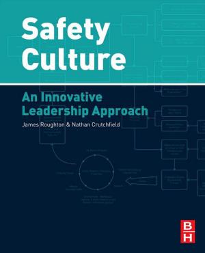 Cover of the book Safety Culture by Ales Iglic, Chandrashekhar V. Kulkarni, Michael Rappolt