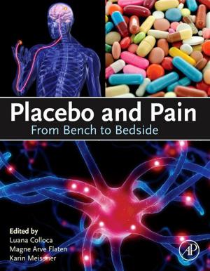 Cover of the book Placebo and Pain by Hongzhang Chen, Lan Wang