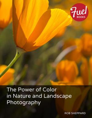 Cover of the book The Power of Color in Nature and Landscape Photography by Larry Ullman