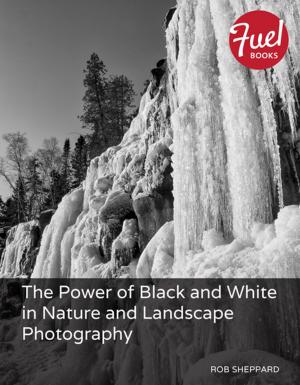 Book cover of The Power of Black and White in Nature and Landscape Photography