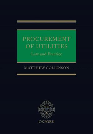 Cover of the book Procurement of Utilities by Camille Bedock