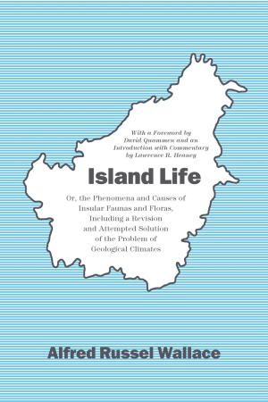 Book cover of Island Life