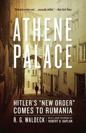 Cover of the book Athene Palace by Ben-Erik van Wyk