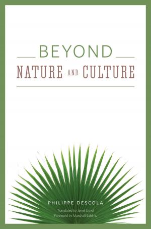 Cover of the book Beyond Nature and Culture by Dmitry Samarov